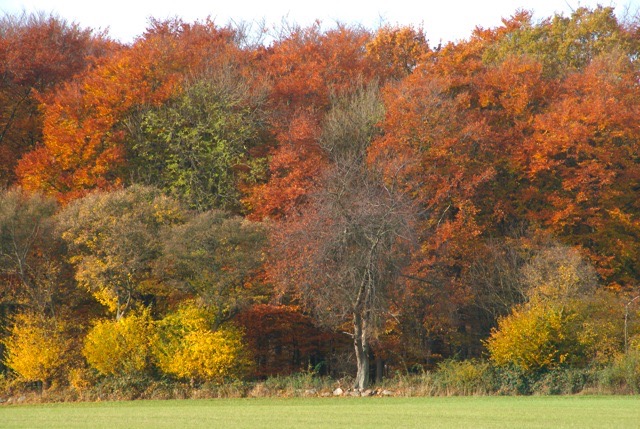 november